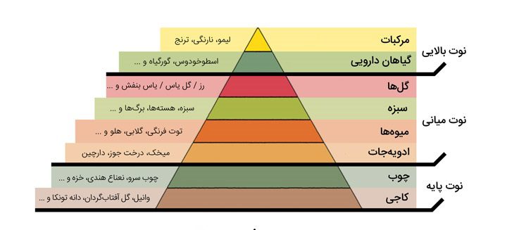 عطر مردانه