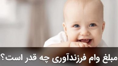 سقف فردی تسهیلات و مبالغ وام فرزند آوری